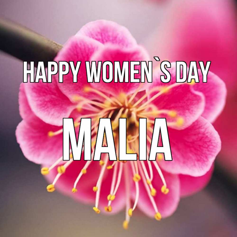 Greetings card с именем, Malia happy women`s day цветы Greetings with text for free download 